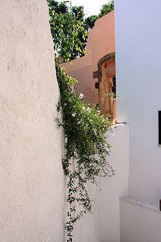 Bozzali Chrissi Akti Chania